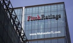 Fitch Türkiye'nin Notunu Düşürdü