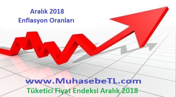 Tüketici Fiyat Endeksi Aralık 2018