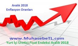 Yurt İçi Üretici Fiyat Endeksi Aralık 2018