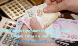 2019 Yılında Uygulanacak Asgari Ücret Destek Tutarları Belli Oldu