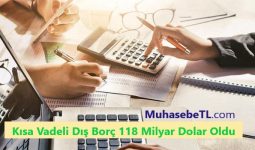 Kısa Vadeli Dış Borç 118 Milyar Dolar Oldu