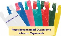 Poşet Beyannamesi Düzenleme Kılavuzu Yayımlandı