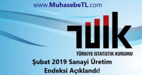 Şubat 2019 Sanayi Üretim Endeksi